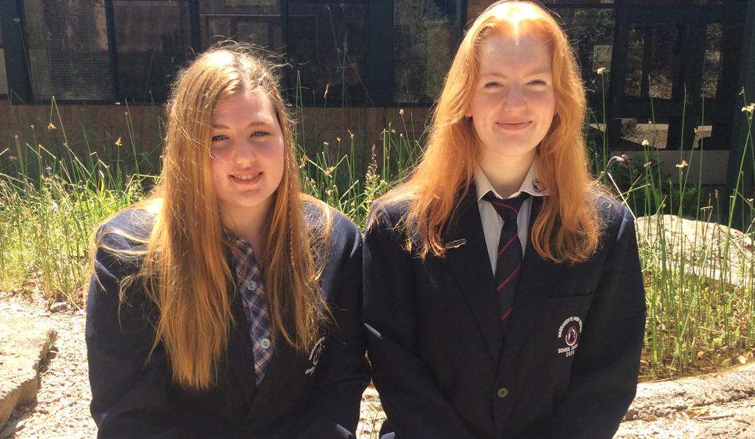 Gang Gang Issue 6 – 4th September 2020